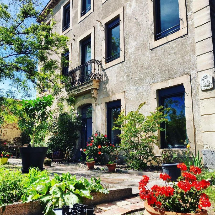 La Villa Du Chai Lézignan-Corbières Kültér fotó